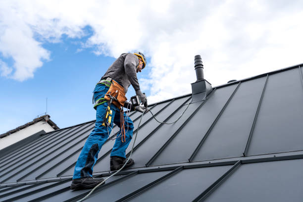 Best Roof Installation  in Carey, ID